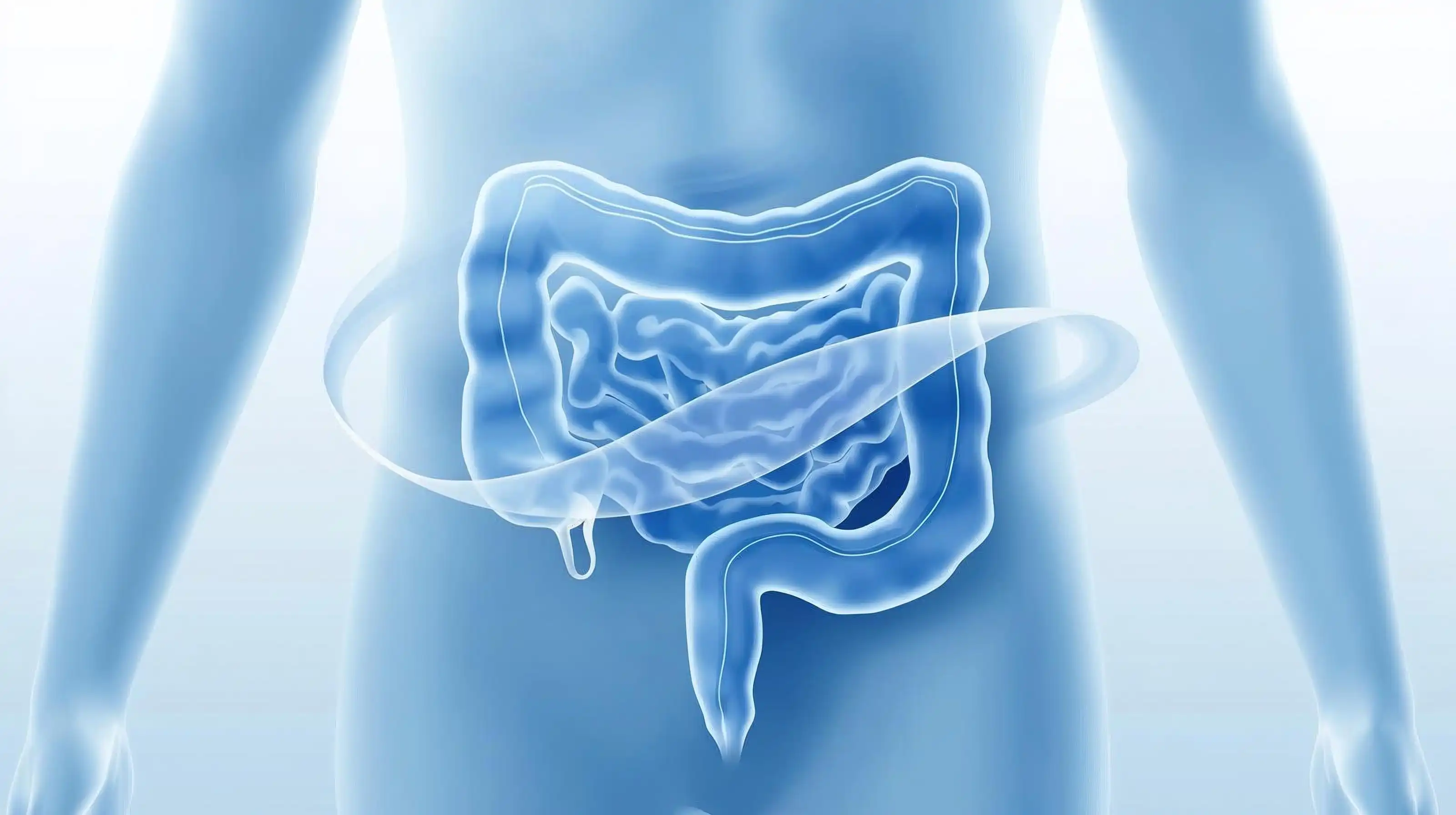 Colon anatomy showing polyp detection for colorectal screening