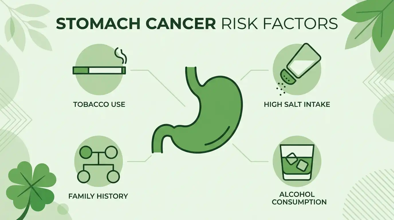 Infographic showing stomach cancer risk factors including tobacco use, high salt intake, family history and alcohol consumption around a stomach illustration, green color palette with a four-leaf clover accent